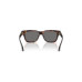 Men's Polarized Sunglasses, VE4486