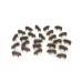 1/64 25 Pack of Brown Pigs