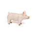 1/16 Champion Yorkshire Pig