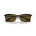Color: Shiny Brown Tortoise