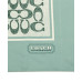 Color: Aquamarine