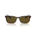 Color: Shiny Brown Tortoise