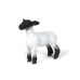 1/16 Champion Crossbred Lamb Big Betty