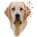 - I am Lab Jigsaw Puzzle