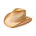 Classic Cowboy Hat