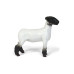 1/16 Champion Crossbred Lamb Big Betty