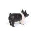 1/16 Champion Hampshire Pig
