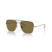 Men's Sunglasses, AR6142