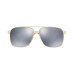 Polarized Sunglasses, VE2174