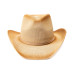 Classic Cowboy Hat