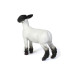 1/16 Champion Crossbred Lamb Big Betty