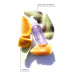 Blonde Rx Brightening Oil Vitamin C Elixir, 1.7 oz.