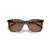 Men's Sunglasses PH4224U