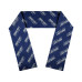 Women's Tampa Bay Lightning Team Wordmark Scarf