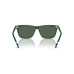 Color: Shiny Green