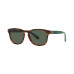 Color: Shiny Jerry Tortoise
