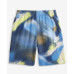 Toddler & Little Boys Club Express Shorts