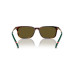 Color: Shiny Brown Tortoise