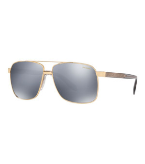 Polarized Sunglasses, VE2174