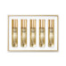Women's 5-Pc. Discovery Gift Set