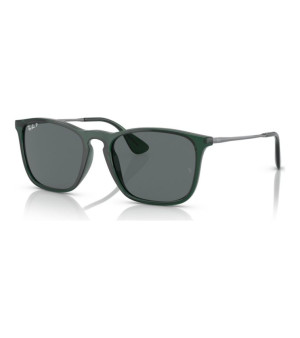 Ray-Ban, Men's Polarized Sunglasses, RB4187