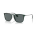 Men's Polarized Sunglasses, RB4187