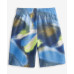 Toddler & Little Boys Club Express Shorts