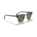 Color: GREEN MIRROR POLAR/BROWN