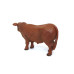 1/16 Red Angus Bull