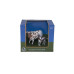 1/20 Longhorn Cow & Calf