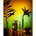 - Mango Aoud Eau De Parfum New - 100ml