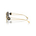 Men's Polarized Sunglasses, Ve2269