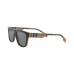 Men's Sunglasses, BE4293