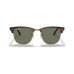 Color: GREEN MIRROR POLAR/BROWN