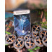 - Monumental Lost Kingdoms Expansion Board Game