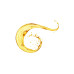 Sundari Neem And Coconut Hair Treatment Oil