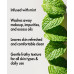 Checks & Balances Frothy Face Wash, 5 oz.