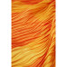 Women's Logo scarf