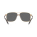 Polarized Sunglasses, VE2174