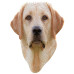 - I am Lab Jigsaw Puzzle