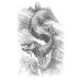 - Tales From The Lone-Lands Expansion Rpg Book
