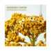 Plantscription™ Wrinkle Correction Eye Cream with Encapsulated Retinol