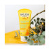 2-In-1 Gentle Baby Shampoo and Body Wash with Calendula Extracts, 6.8 oz