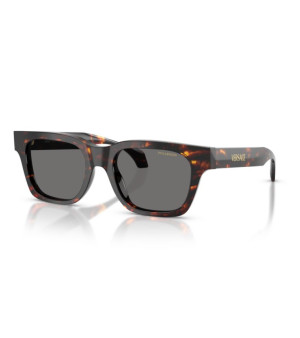 Versace, Men's Polarized Sunglasses, VE4486