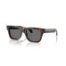 Men's Polarized Sunglasses, VE4486