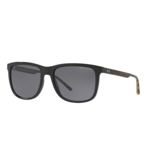 A|X Armani Exchange, A|X Polarized Sunglasses, AX4070S