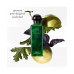 Eau de Basilic Pourpre Eau de Cologne, 3.3 oz.
