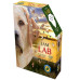 - I am Lab Jigsaw Puzzle