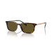 Color: Shiny Brown Tortoise