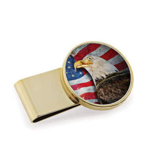American Coin Treasures, Men's American Bald Eagle Colorized JFK Half Dollar Stainless Steel Money Clip